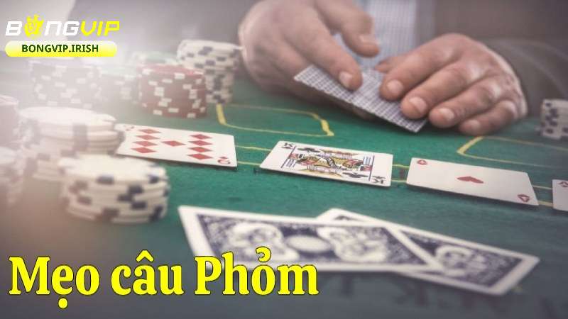 Bật mí mẹo vàng và cách chơi phỏm luôn thắng