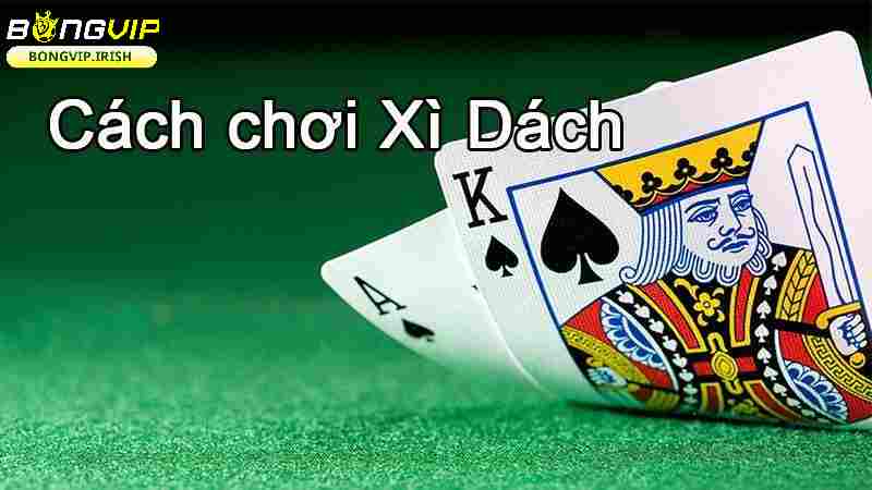 Giới thiệu về cách chơi xì dách hay tại bongvip