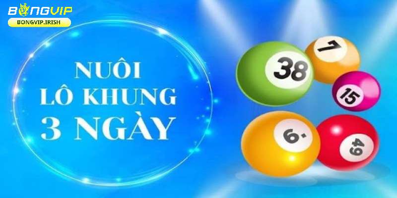 Giới thiệu về cách nuôi lô khung tại bongvip