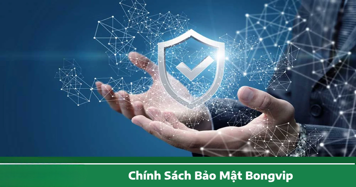 Chính Sách Bảo Mật Bongvip – Bảo Vệ Dữ Liệu Người Chơi